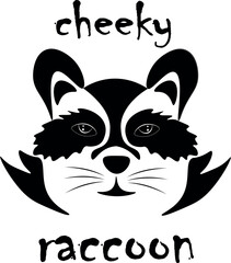 Cheeky raccoon
