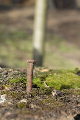 nail in the wood