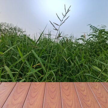 picture of the wooden table besides green grass and sunlight 