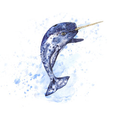Watercolor illustration of a narwhal in blue tones with a texture, with blue splashes, isolated on a transparent background
