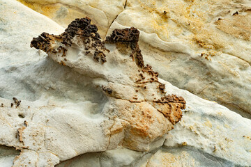 Natural rock texture background on the Santa Cruz beach in the center of Portugal