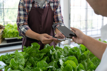 Close up Picture of Man Buying Fresh Vegetables from Market