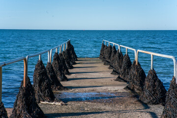 Sea grass on the railing of the pier, sea view