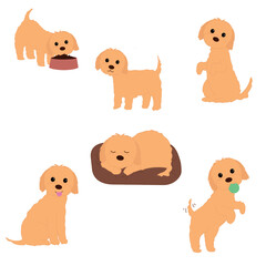 Brown Puppy Set Of Everyday Activities. Cartoon dog character. Maltipoo sleeping, eating, playing collection.