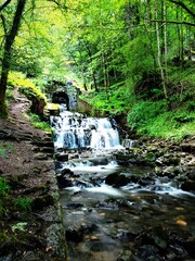 cascade
