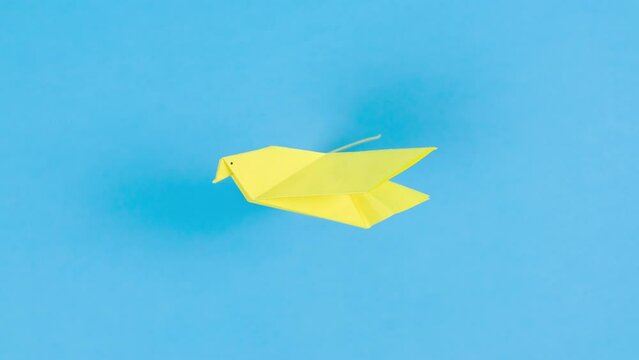 4k Yellow paper transforms into an origami dove that flies. Symbol of peace. Blue background. Concept of help, support and peace for Ukraine in fight against Russian aggression. Stop motion animation.