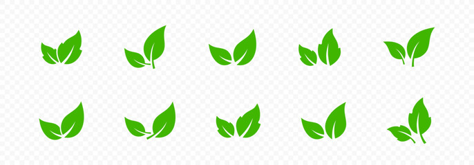 Leaf icons. Green floral leaves. Leave icon set. Flat isolated leaf icons. Foliage collection. Vector graphic