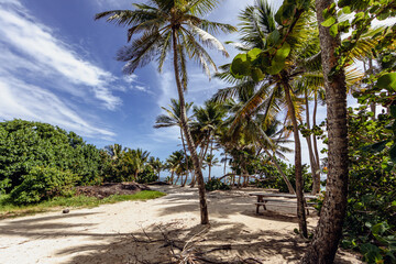 Sainte-Anne, Martinique, FWI - Anse Michel beach