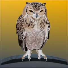 An isolated owl on a branch vector