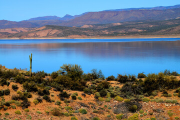 Blue Skies Roosevelt Lake Arizona