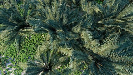 Wallpaper of tropical forest trees, top view. 3D rendering 