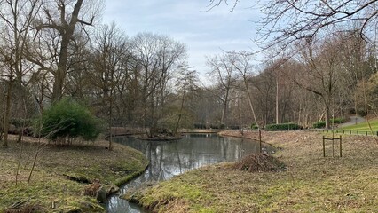 La végétation autour des étangs en hiver au parc Josaphat à Schaerbeek 