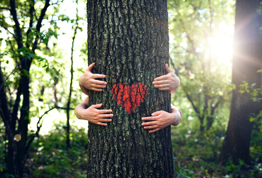 Concept of nature protection, care for environment. Environment day and earth day. Family embracing the tree with red heart. Nature lover family.