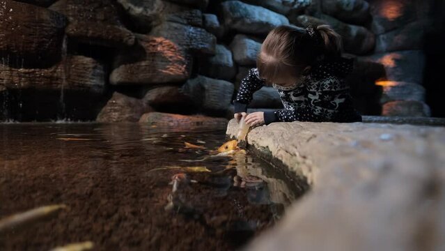 A child feeds a fish from a bottle in an aquarium
