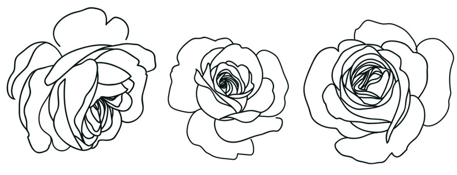 Set of decorative line art rose isolated on white. Vintage flowers. Vector stock illustration