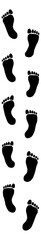 Foot. Vector drawing