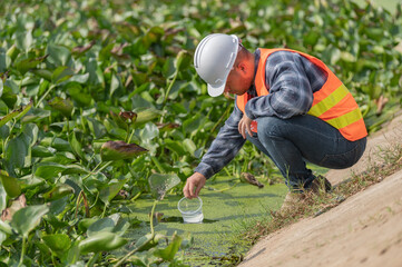 Environmental engineers inspect water quality,Bring water to the lab for testing,Check the mineral content in water and soil,Consultation to solve the problem of chemical contaminated water sources