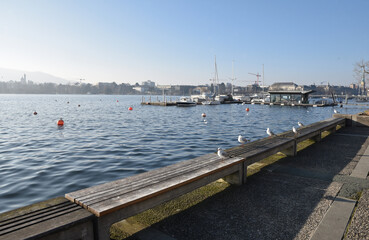 Obraz premium Quai du lac de Zurich en hiver. Suisse