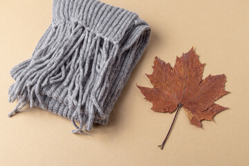 Folded grey knitted scarf and red maple leaf. Scarf with tassels