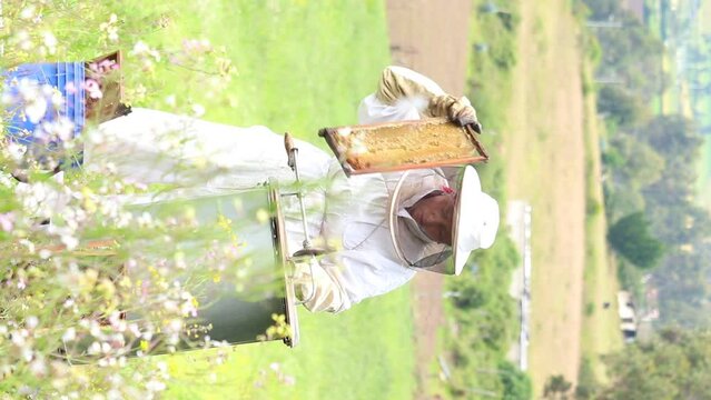 mujer apicultora extrayendo cuadros de miel de una maquina centrifugadora 