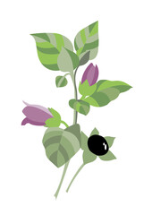 branch of a tree with leaves