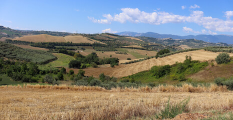 View of a southern landscape with mountains in the background in Abruzzo in Italy in summer