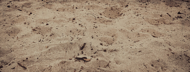 Autumn sand background, Footmarks 