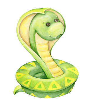 The snake is green. Watercolor illustration of an animal in cartoon style.