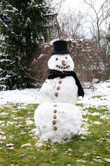 Ein schöner Schneemann mit Zylinder , Wallnüssen, einem Schal und einer Nase aus Paprika - ein...