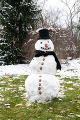 Ein schöner Schneemann mit Zylinder , Wallnüssen, einem Schal und einer Nase aus Paprika - ein...