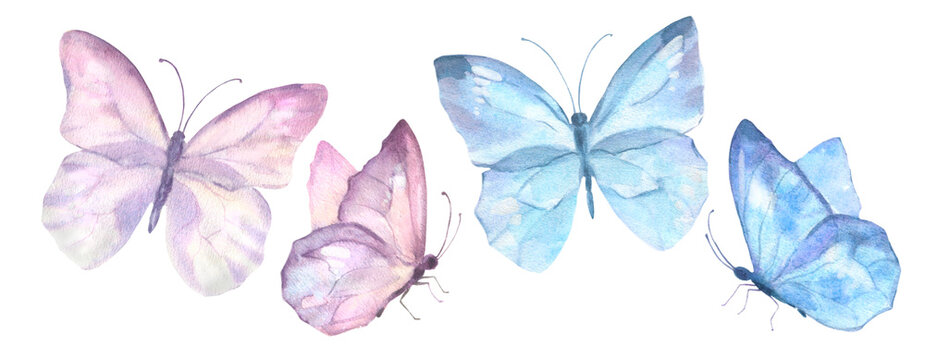 A set of delicate cute pink and blue butterflies. Watercolor illustration isolated objects on a white background. For decoration, design of romantic, wedding events, textiles, postcards, card making
