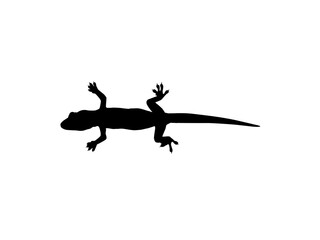House Lizard also called House Gecko or Gekkonidae Silhouette for Art Illustration, Logo, Pictogram or Graphic Design Element. Vector Illustration