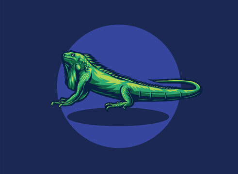 Iguana animal vector illustration
