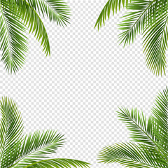palm tree frame - obrazy, fototapety, plakaty