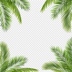 Poster palm tree frame © barbaliss