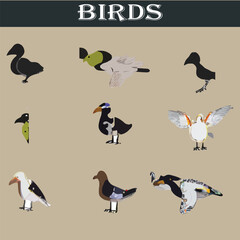 Set of different birds vector file
