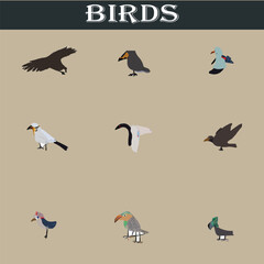 Set of different birds vector file