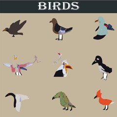 Set of different birds vector file