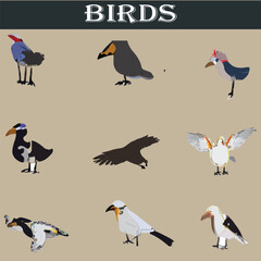 Set of different birds vector file