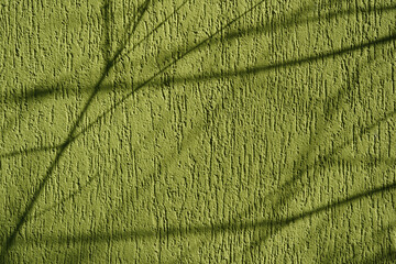 Fototapeta na wymiar abstract shadows of the branches on green concrete wall background