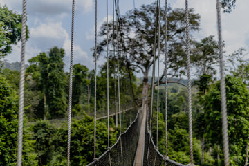 Kakum National Park - the only canopy walkway on the African continent