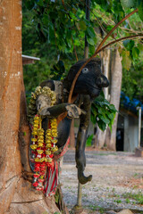 Statues near a tree in Thailand