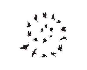 Obraz na płótnie Canvas Birds flock flying in harmony making the sign of infinity, vector. Flying birds silhouettes illustration isolated on white background. Black and white art design