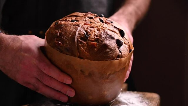 Panettone of Milan. Sweet festive bread sprinkled with icing sugar. Traditional Italian pastries for Christmas with dried fruits and almonds. 