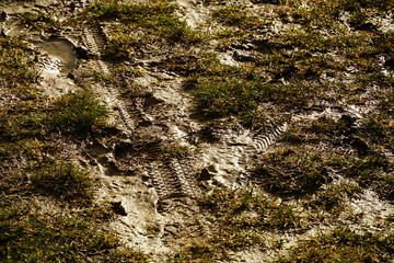 Wet shiny dirt on the road with imprinted bicycle tires and shoes