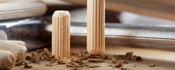 Two wooden dowel for fastening oak plank. Timber industry.