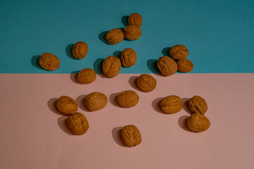 Walnut hazelnut on colored background. Walnut hazelnut concept idea. Colorful background. Creative food layout. 