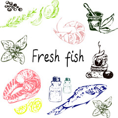 Vector hand drawn seafood and spices set in sketch style. Animal sea products vintage sketch.