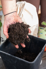 Close-up Woman fills natural bio soil in a black pot on the balcony, vertical shot