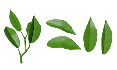 Fototapeta premium Green leaves of tea plant and twig isolated on white background. 3d rendering 